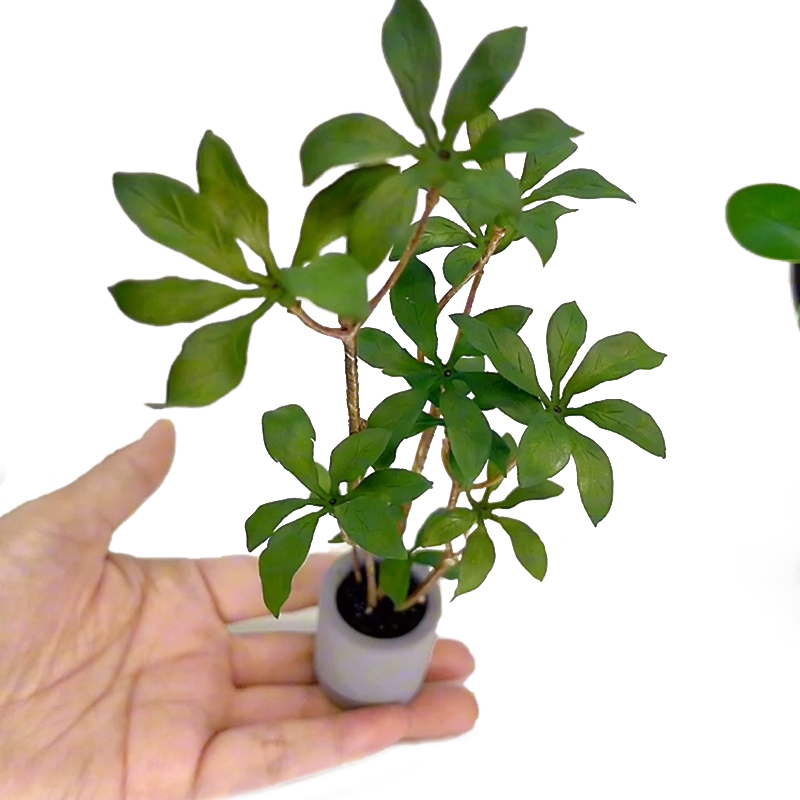 Bonsai Garden Ornaments - บ้านตุ๊กตา1:6กระถางต้นไม้โมเดลสีเขียวใบกระถางต้นไม้บอนไซประดับสวนอุปกรณ์ตกแต่งบ้านตุ๊กตา