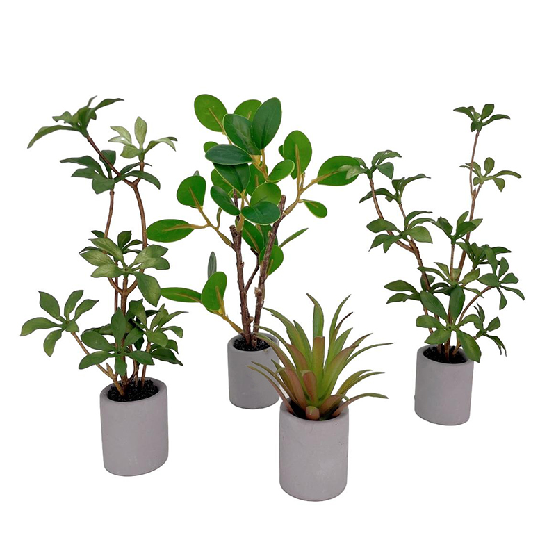 Bonsai Garden Ornaments - 1:6 Dollhouse Miniature กระถางต้นไม้สีเขียวใบพืชหม้อบอนไซบ้านสวนตกแต่งของเล่นตุ๊กตาอุปกรณ์เสริม House