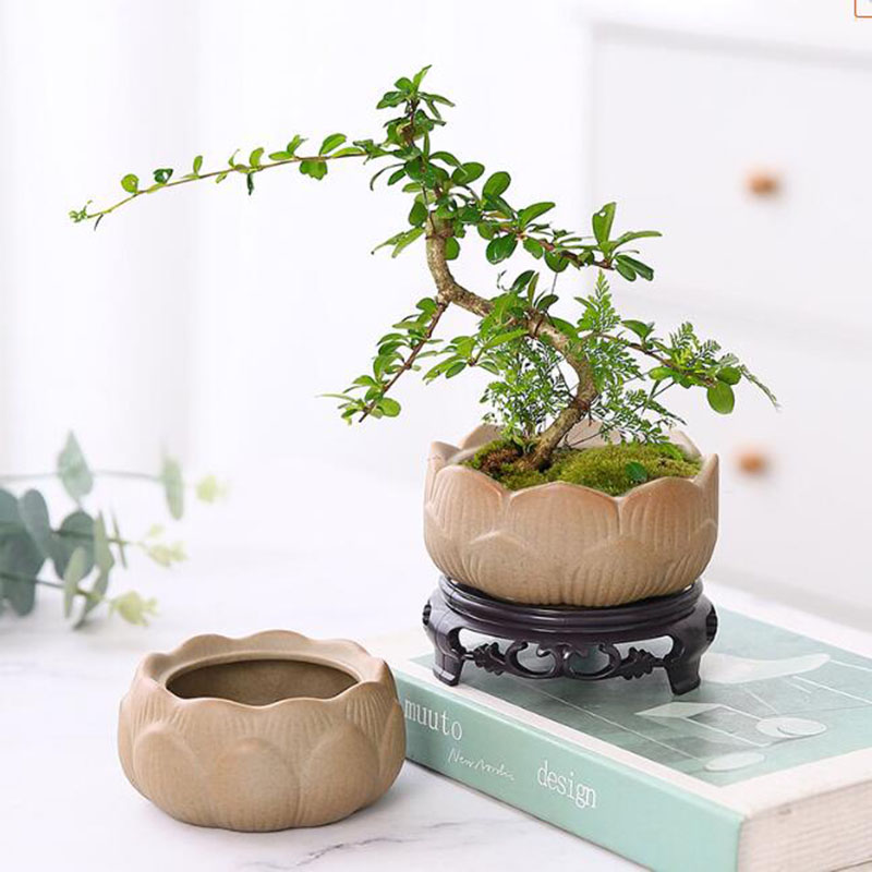 Bonsai Garden Art - แจกันกระถางกระถางต้นไม้สีเขียวบัวแบบหยาบภาชนะใส่กระถางบอนไซการตกแต่งบ้านสำหรับตกแต่งสวน