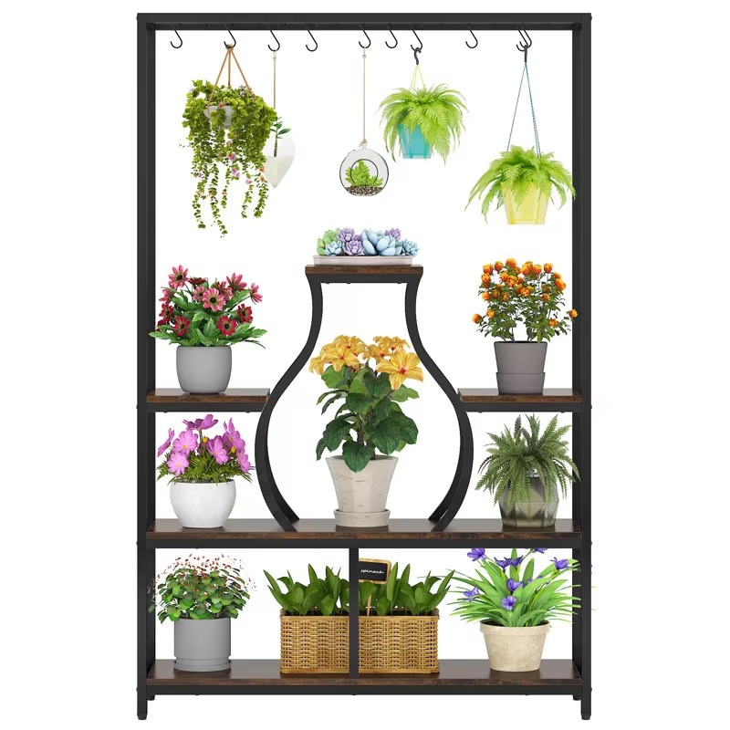 ชั้นวางกระถางต้นไม้แขวนผนังสำห - Bonsai Garden Display บทวิจารณ์และราคา