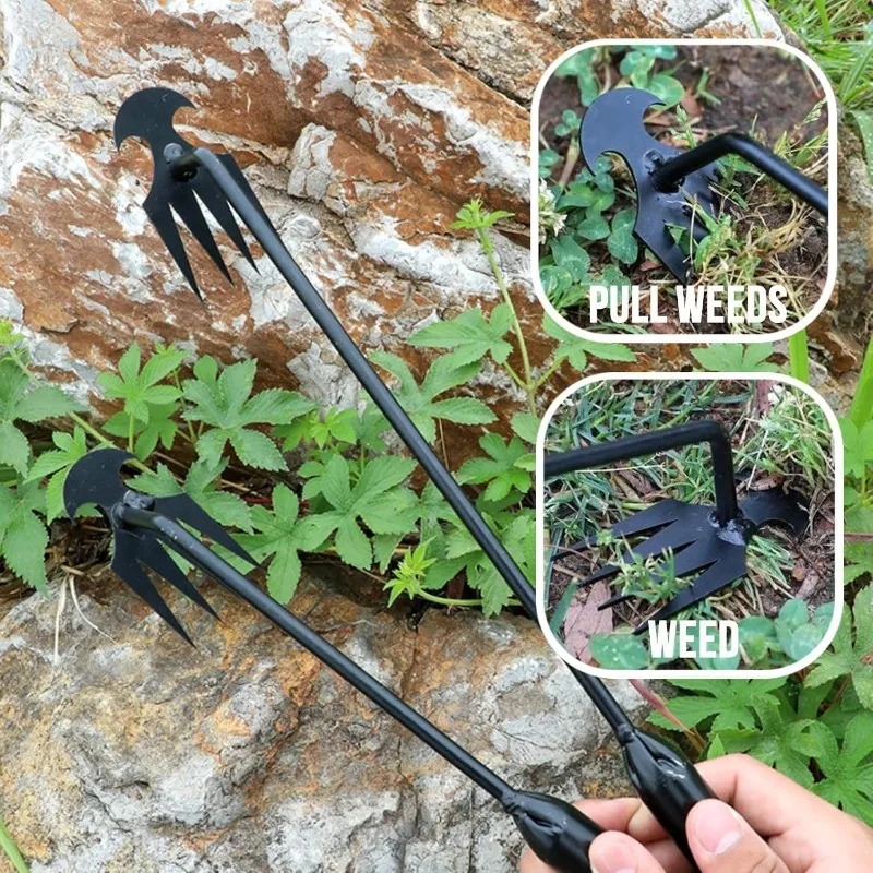 เครื่องมือทำสวน 2-in-1 แบบใช้ม - Soil Scoop Tool บทวิจารณ์และราคา