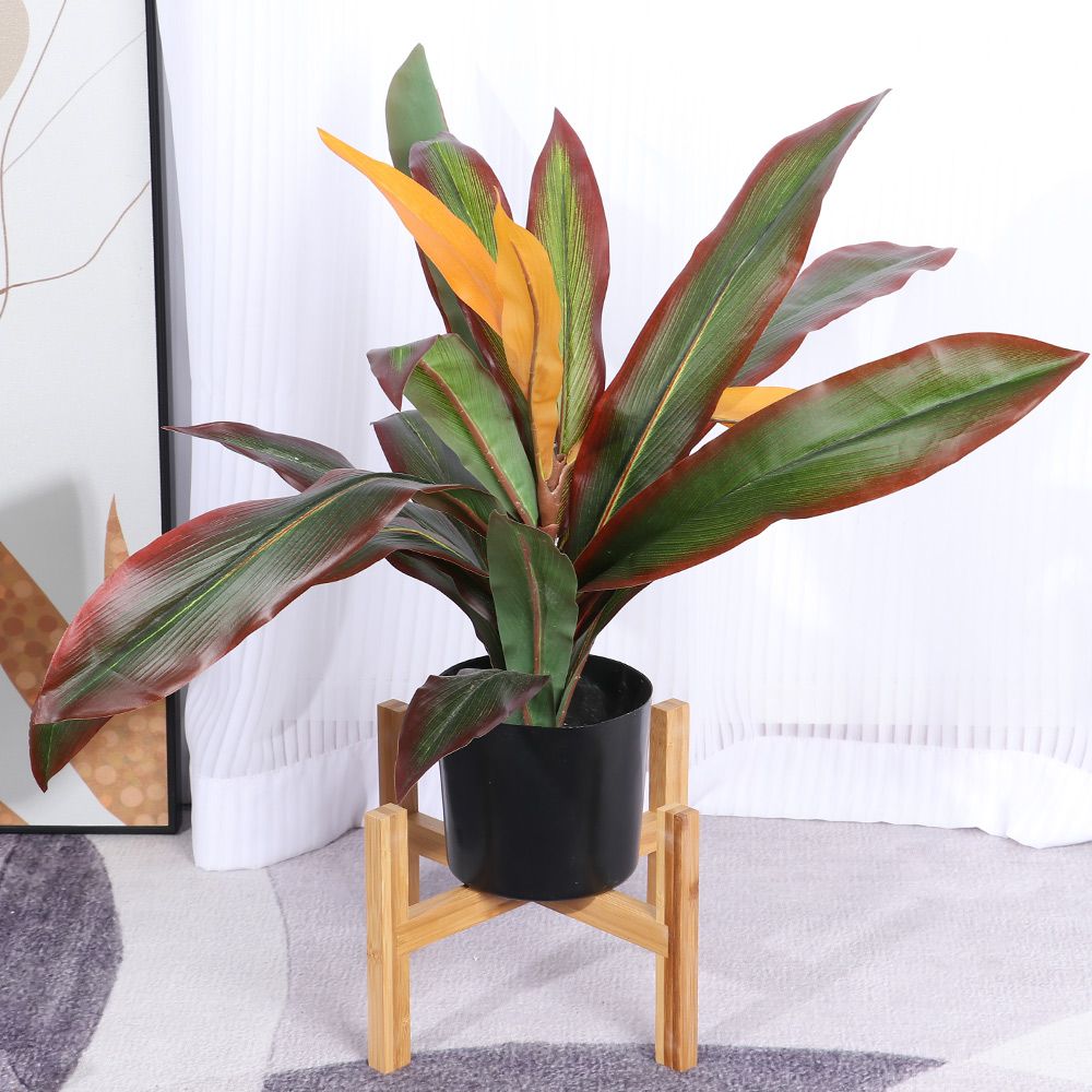ถาดวางกระถางต้นไม้แบบตั้งพื้นถ - Bonsai Garden Display บทวิจารณ์และราคา
