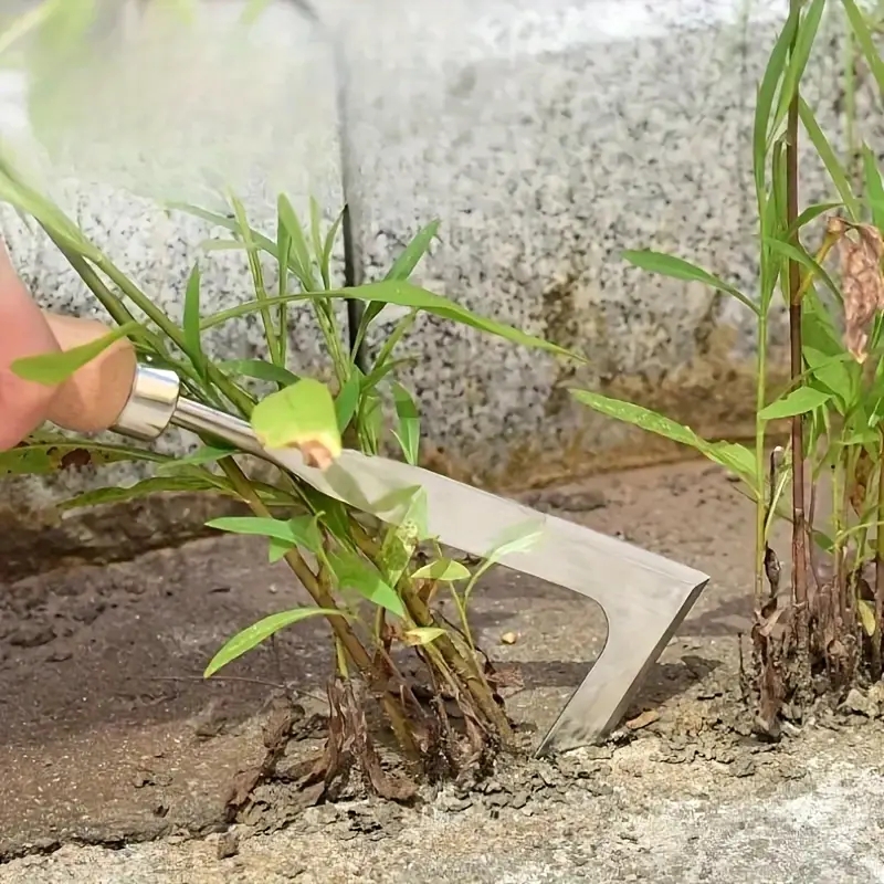 พลั่วมือเหล็กคาร์บอนสําหรับงาน - Soil Scoop Tool บทวิจารณ์และราคา