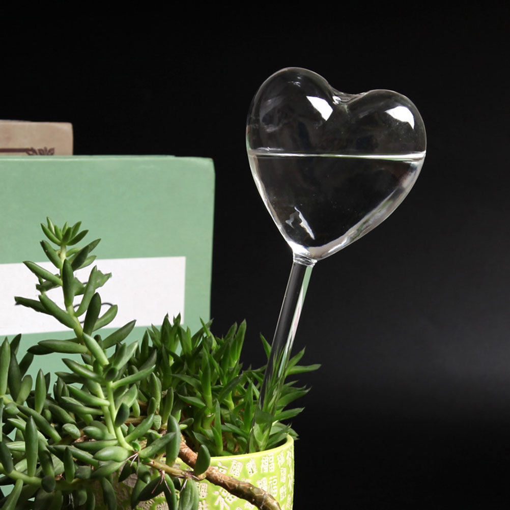 ลูกบอลแก้วรูปหัวใจ 3 ชิ้น สำหร - Bonsai Garden For Home บทวิจารณ์และราคา