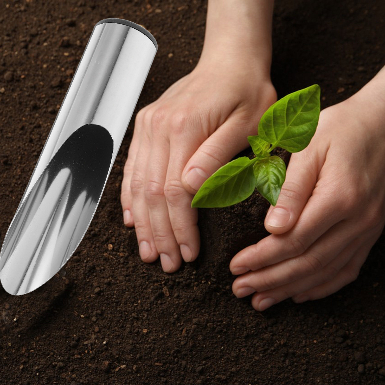 พลั่วสวนสแตนเลสน้ำหนักเบาแบบพก - Soil Scoop Tool บทวิจารณ์และราคา