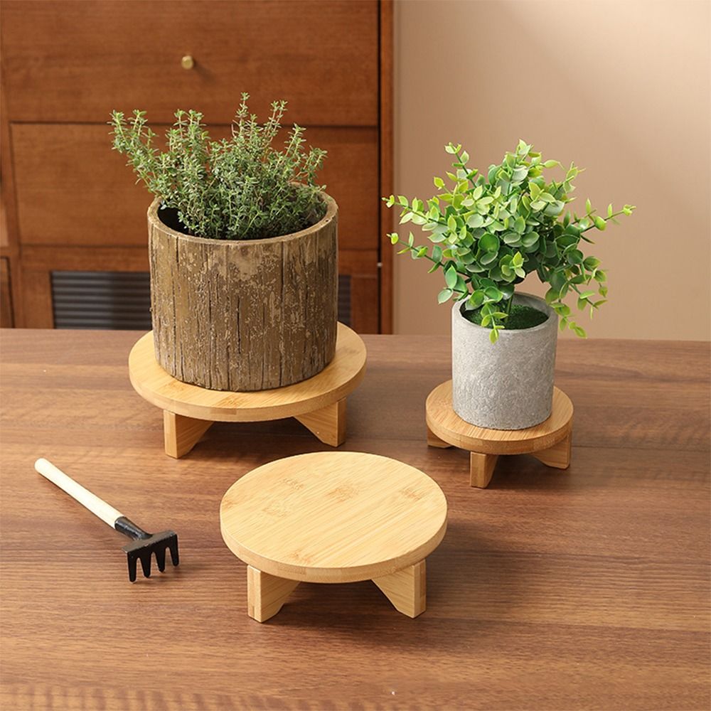 ขาตั้งต้นไม้บอนไซไม้แบบตั้งพื้ - Bonsai Garden Display บทวิจารณ์และราคา