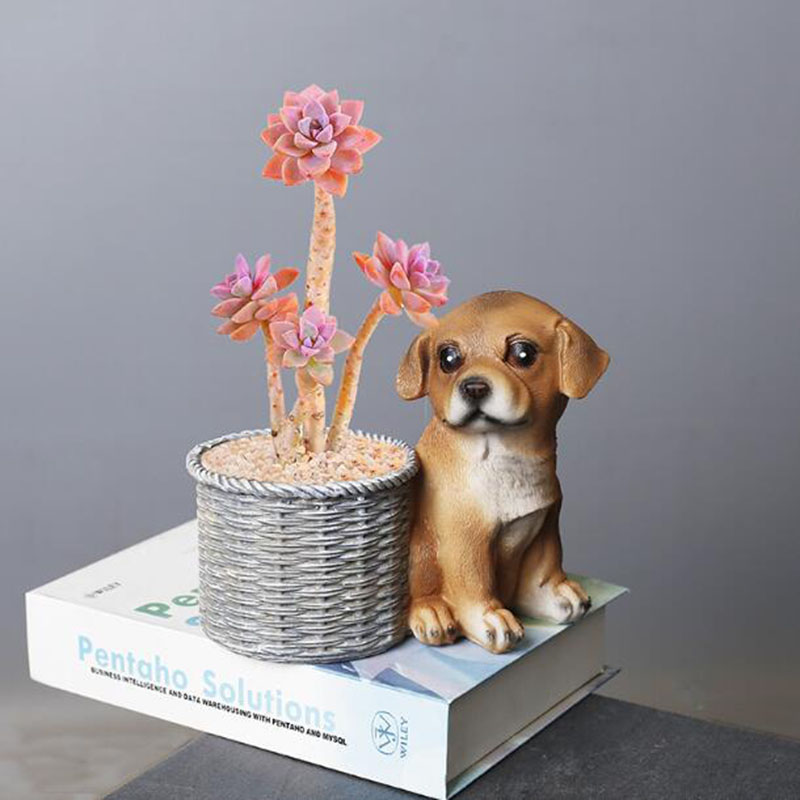 ครัวเรือนห้องนั่งเล่นสํานักงาน - Bonsai Garden Art บทวิจารณ์และราคา