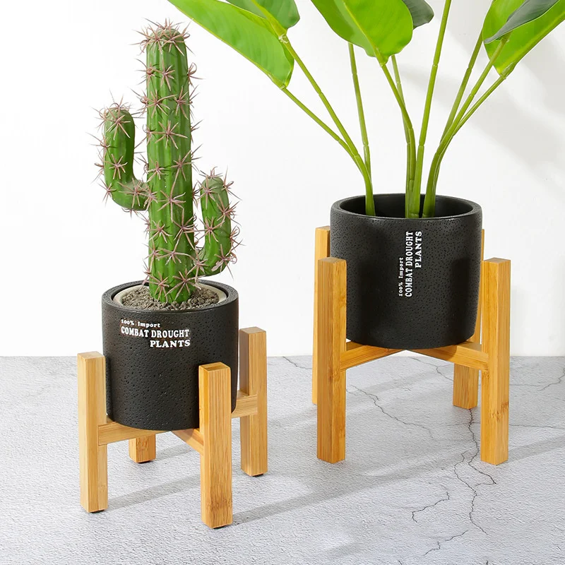 ดอกไม้พืชหม้อขนาดเล็กทนทานถาดไ - Bonsai Garden Display บทวิจารณ์และราคา
