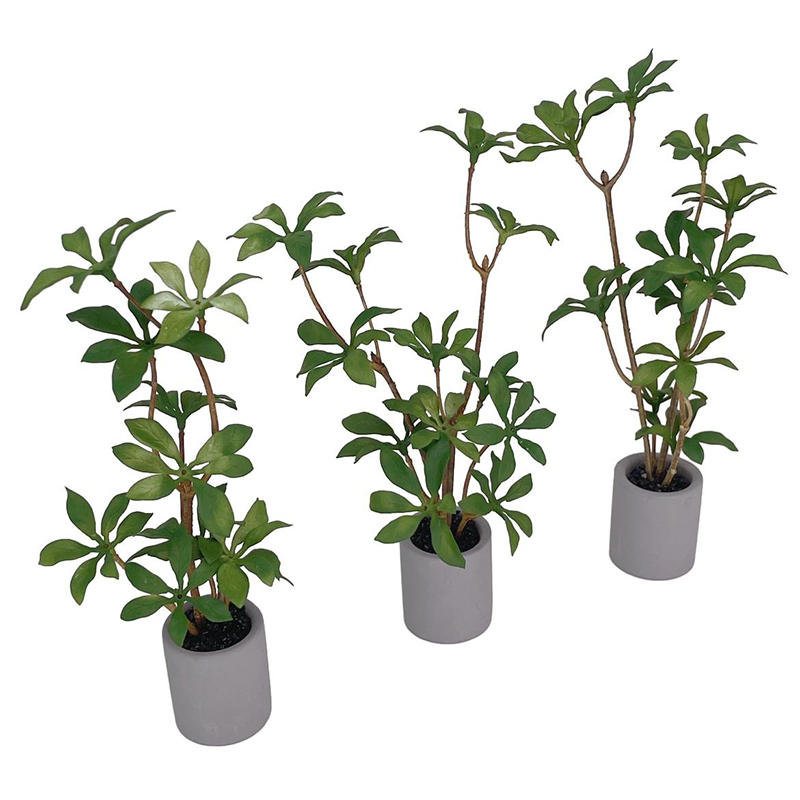 1:6 Dollhouse Miniature กระถาง - Bonsai Garden Ornaments บทวิจารณ์และราคา