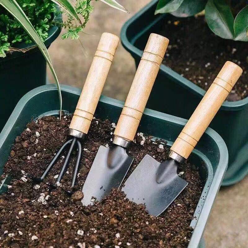 ชุดเครื่องมือทำสวนขนาดเล็ก 3 ช - Soil Scoop Tool บทวิจารณ์และราคา