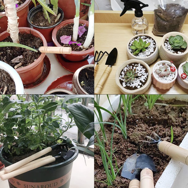 ชุดเครื่องมือทำสวนขนาดเล็ก 3 ช - Soil Scoop Tool บทวิจารณ์และราคา