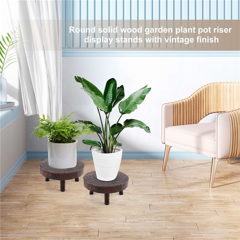 ABHU 2 ชิ้น ขาตั้งไม้ขนาดเล็กส - Bonsai Garden Display บทวิจารณ์และราคา