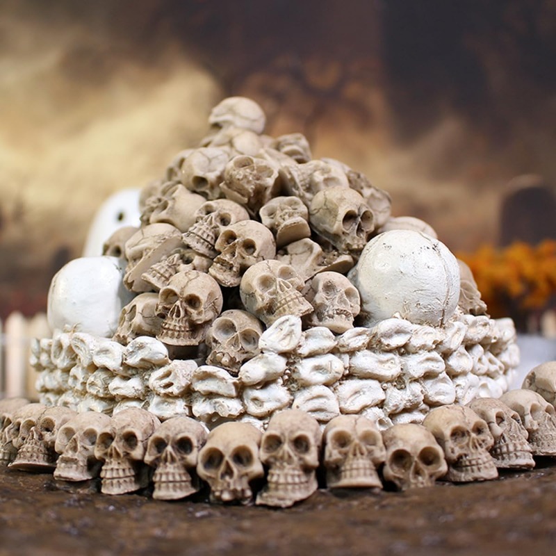รูปปั้นหัวกะโหลกเรซิ่นเหมือนจร - Bonsai Garden Display บทวิจารณ์และราคา