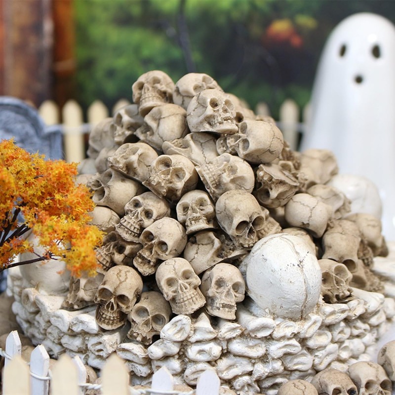รูปปั้นหัวกะโหลกเรซิ่นเหมือนจร - Bonsai Garden Display บทวิจารณ์และราคา