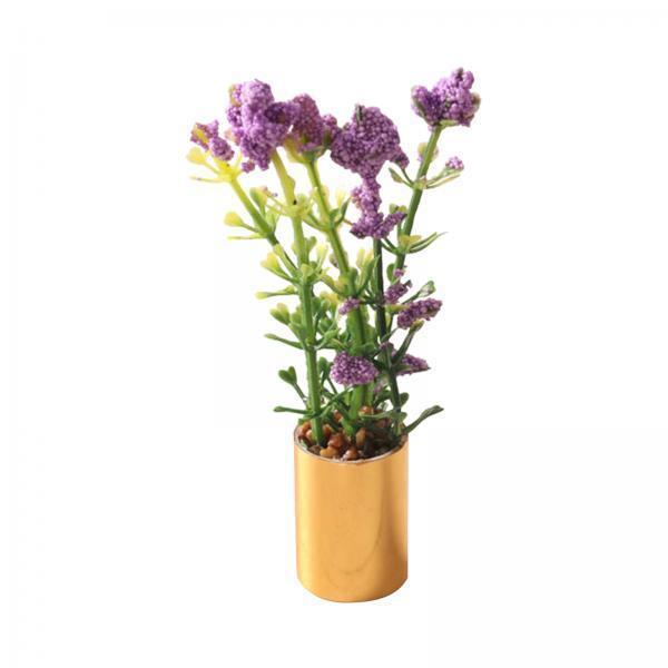 กระถางต้นไม้จิ๋วขนาด 1:12 ต้นบ - Bonsai Garden Display บทวิจารณ์และราคา