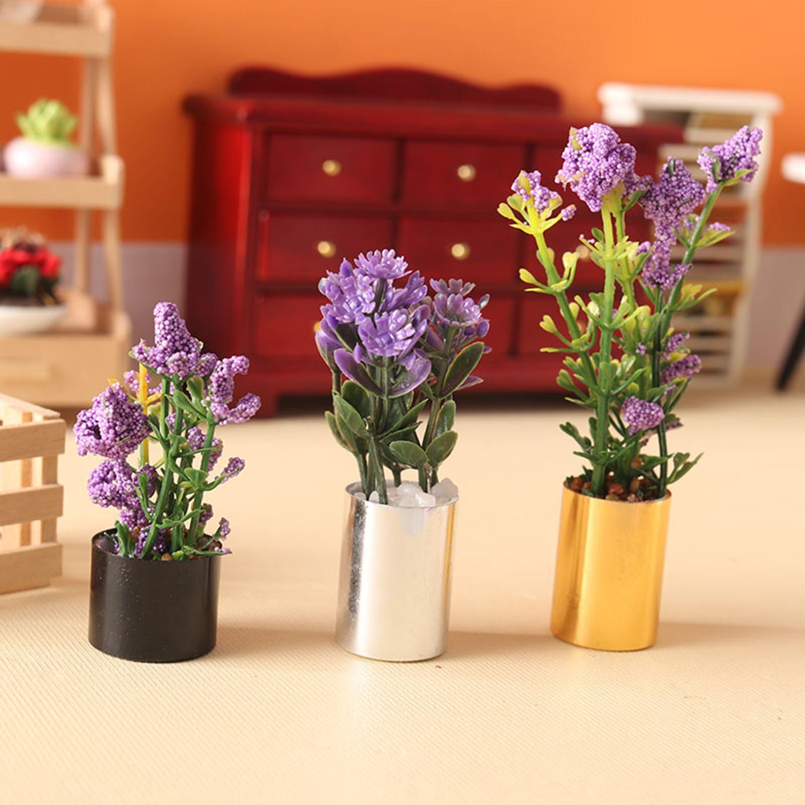 กระถางต้นไม้จิ๋วขนาด 1:12 ต้นบ - Bonsai Garden Display บทวิจารณ์และราคา