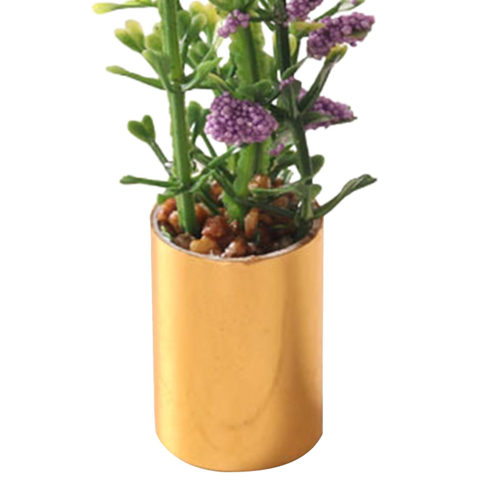 กระถางต้นไม้จิ๋วขนาด 1:12 ต้นบ - Bonsai Garden Display บทวิจารณ์และราคา
