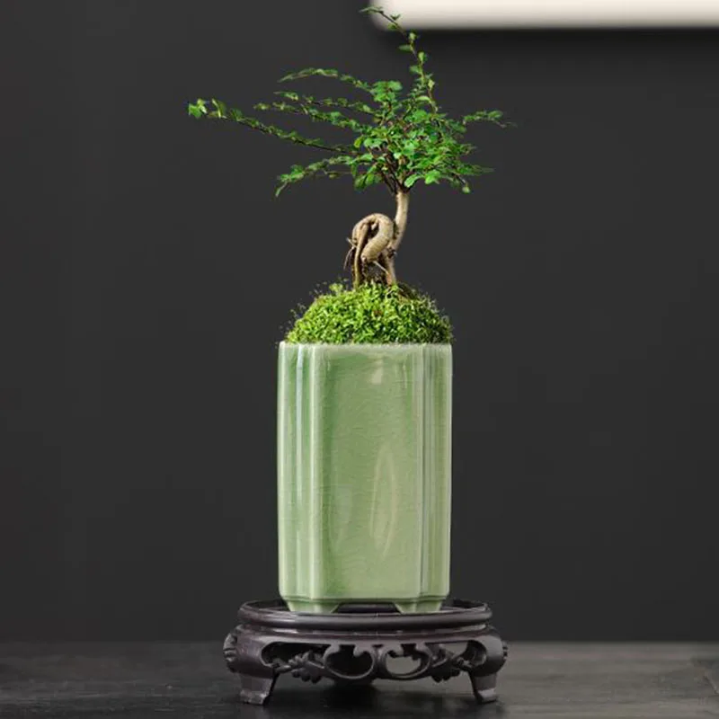 กระถางดอกไม้เซรามิกเคลือบสีเขี - Bonsai Garden Art บทวิจารณ์และราคา