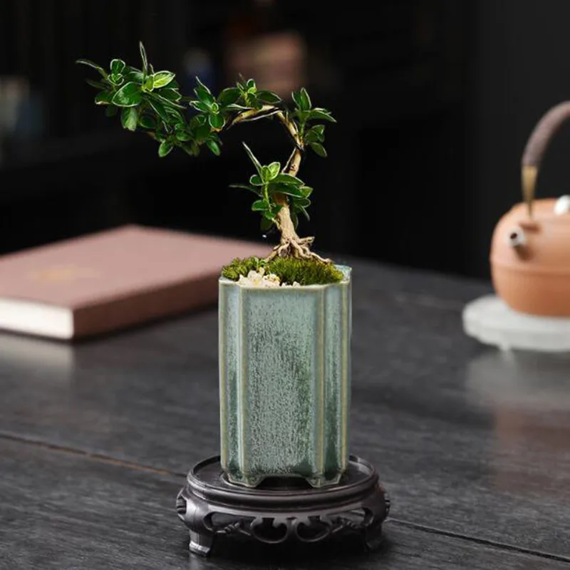 กระถางดอกไม้เซรามิกเคลือบสีเขี - Bonsai Garden Art บทวิจารณ์และราคา