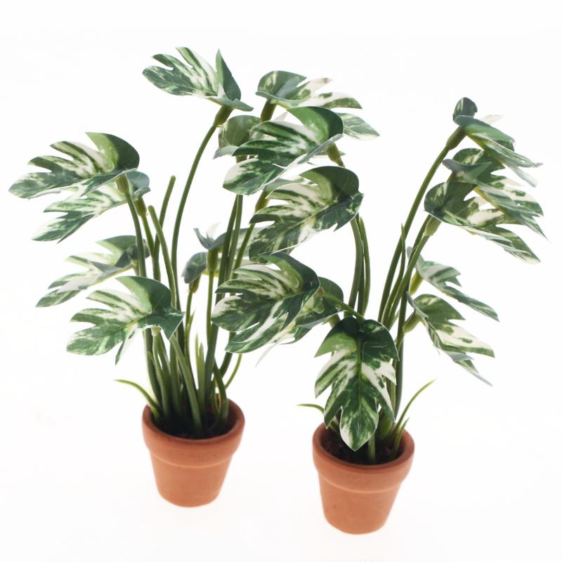 ใหม่! ต้นมอนสเตอร่าจำลอง 1 ชิ้ - Bonsai Garden Ornaments บทวิจารณ์และราคา