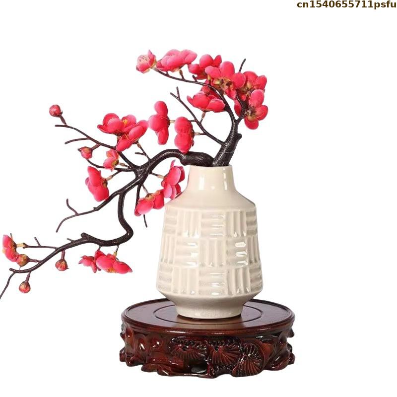 เส้นผ่านศูนย์กลาง 6-30 ซม.ยืนฐ - Bonsai Garden Display บทวิจารณ์และราคา