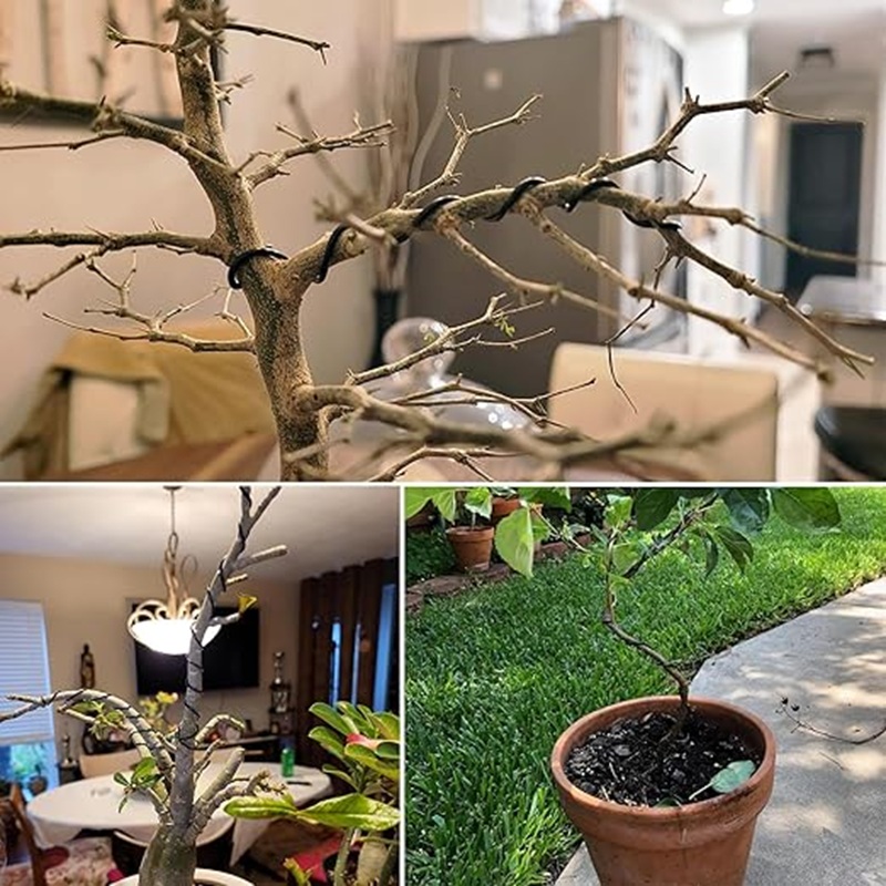 ลวดอลูมิเนียมสีดำขนาด 1 มม. ยา - Bonsai Garden Art บทวิจารณ์และราคา