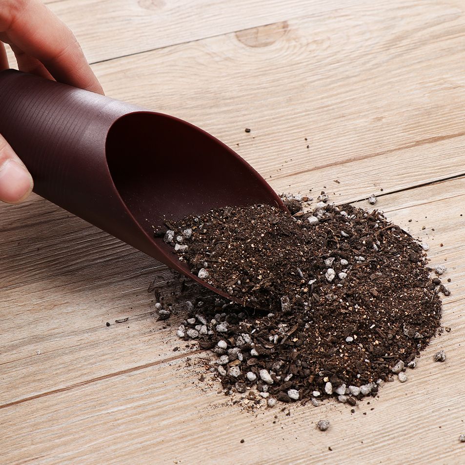 ถ้วยพลั่วดินพลาสติก1ชิ้นสำหรับ - Soil Scoop Tool บทวิจารณ์และราคา